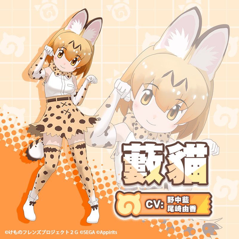 1girl animal_ears belt bow bowtie cat_ears cat_girl cat_tail chinese_text elbow_gloves extra_ears full_body gloves japari_symbol kemono_friends kemono_friends_3 kneehighs looking_at_viewer official_art orange_eyes orange_hair serval_(kemono_friends) serval_print shirt shoes short_hair simple_background skirt sleeveless sleeveless_shirt socks solo tail