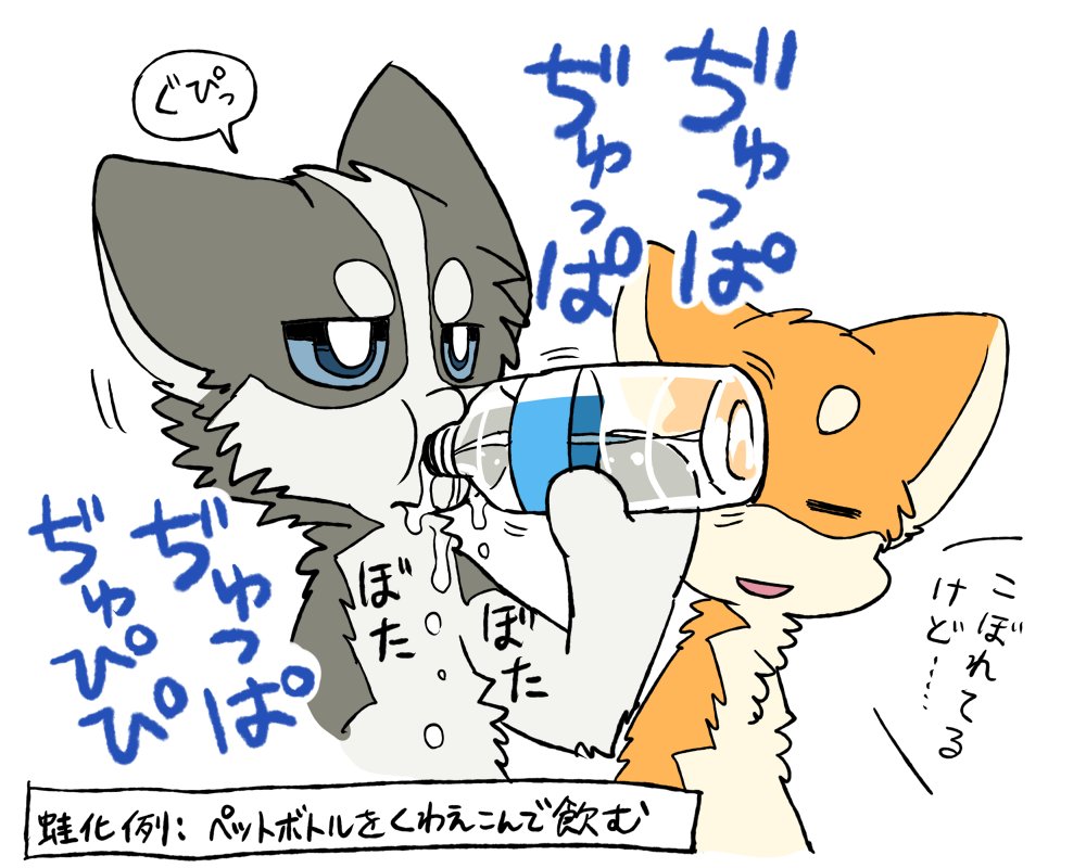 ayaka bottle canid canine canis container countershading dialogue domestic_dog drinking duo female_(lore) fur grey_body grey_fur holding_bottle holding_container holding_object humor husky japanese_text kyappy looking_at_another male_(lore) mammal nordic_sled_dog orange_body orange_fur puffy_lips semi-anthro shiba_inu shibeta siberian_husky simple_background spilled_drink spitz text translated water_bottle wet white_background white_body white_fur