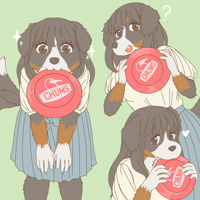 &lt;3 1:1 5_fingers anthro bent_over black_body black_fur black_nose blue_bottomwear blue_clothing blue_skirt bottomwear breasts brown_body brown_eyes brown_fur brown_hair canid canine canis clothed clothing digital_media_(artwork) domestic_dog ekaki510 female fingers frisbee frisbee_in_mouth fur green_background hair holding_frisbee holding_object kemono looking_at_viewer mammal object_in_mouth open_mouth question_mark shirt simple_background skirt smile smiling_at_viewer snaggle_tooth solo sparkles standing tail teeth topwear white_body white_clothing white_fur white_shirt white_topwear