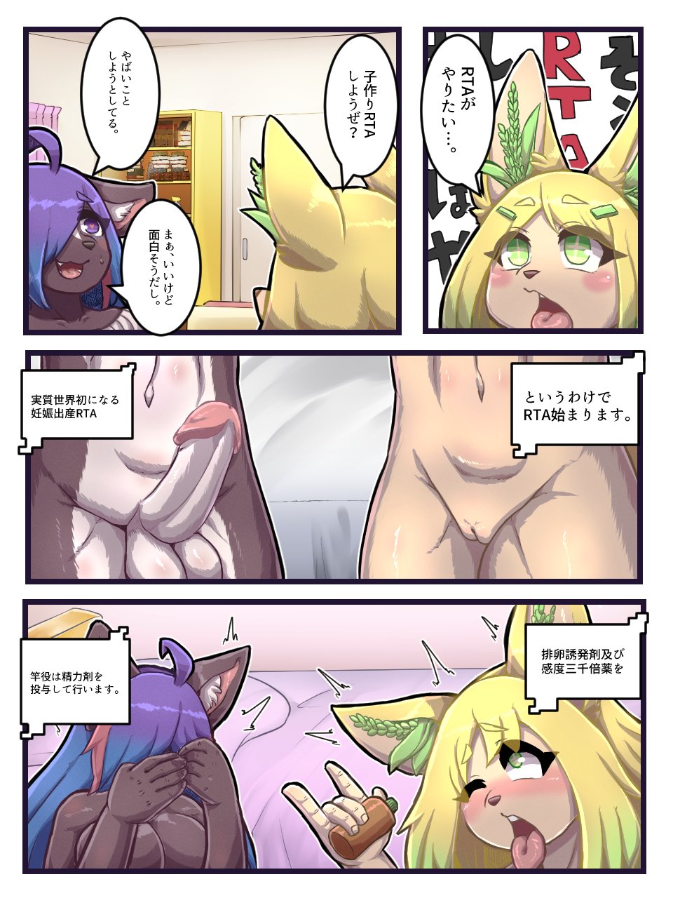 ahegao anthro balls bed bedroom blush breasts canid canine comic duo female fox furniture genitals gynomorph hi_res imminent_sex intersex intersex/female japanese_text komenuka_inaho komenuka_inaho_(komenuka_inaho) looking_pleasured mammal nude penis pussy smile text translation_request