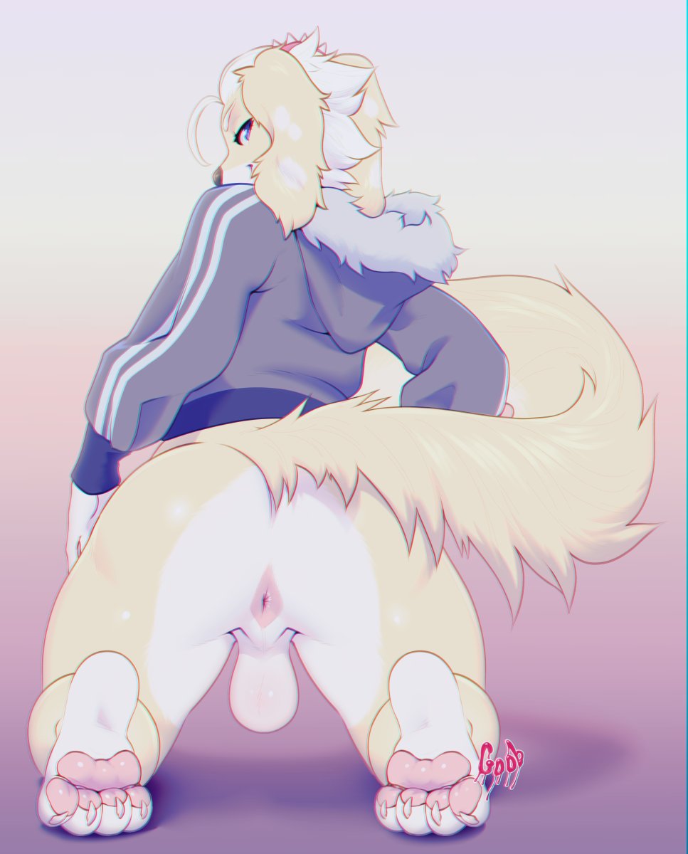 anthro backsack balls bottomless canid canine canis claws clothed clothing crobat_(artist) domestic_dog feet floppy_ears fur genitals hair hi_res hoodie looking_at_viewer looking_back looking_back_at_viewer male mammal pawpads solo tan_body tan_fur toe_claws topwear white_hair