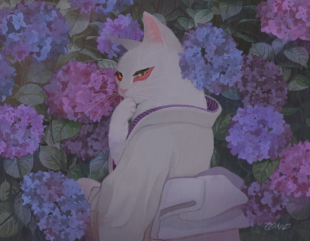 animal animal_focus blue_flower cat closed_mouth clothed_animal commentary covering_mouth english_commentary eyeliner flower from_behind hydrangea japanese_clothes kimono long_sleeves looking_at_viewer looking_back makeup nature nekoe_onomai no_humans obi original pink_flower purple_flower rain sash signature upper_body white_cat white_kimono yellow_eyes