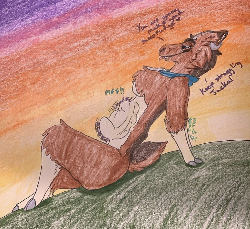 abdominal_bulge anthro aster_(disambiguation) atlasnaster_(artist) bell bell_collar bovid brown_body brown_fur caprine collar female female_pred fur hooves horn male male/female mammal organs rumbling_stomach sheep solo stomach struggling struggling_prey tan_body tan_fur text vore