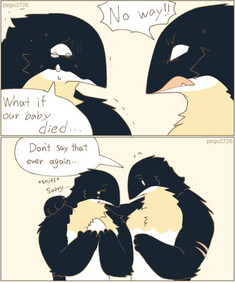 anthro avian beak bird black_body black_feathers bodily_fluids comic crying dialogue egg english_text feathers humanoid male pegu2726 penguin scar shaking simple_background speech_bubble tears text white_body white_feathers worried