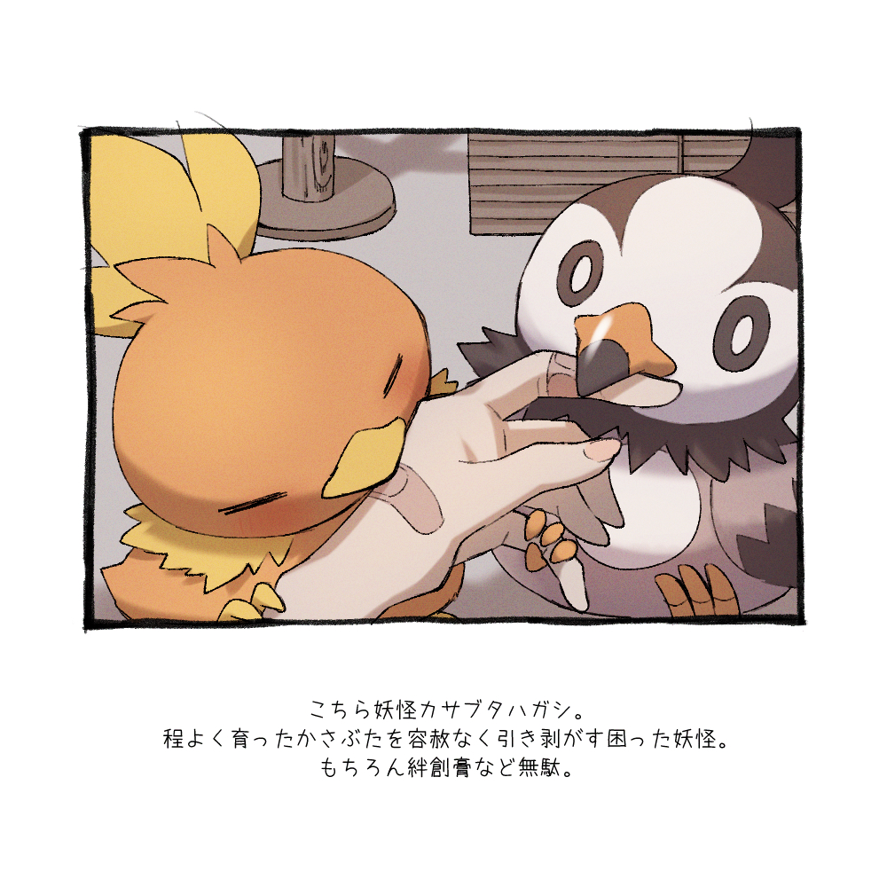 animal_focus bandaid bird biting biting_another's_hand black_border border bright_pupils chick closed_eyes commode finger_biting grabbing_another's_hand indoors light_blush looking_at_viewer nibbling o_o pecking pokemon pokemon_(creature) pov pov_hands simple_background starly torchic translation_request white_background white_pupils yukichi_(tsuknak1)