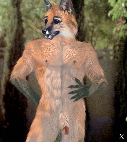 abs anthro canid canine circumcised dark_hands dark_nipples flaccid fox fur genitals grey_hands hand_behind_back hand_on_hip humanoid looking_aside looking_away low_res male mammal mr_x nipples open_mouth orange_body orange_fur penis photo_background photo_manipulation photography_(artwork) photomorph solo third-party_edit