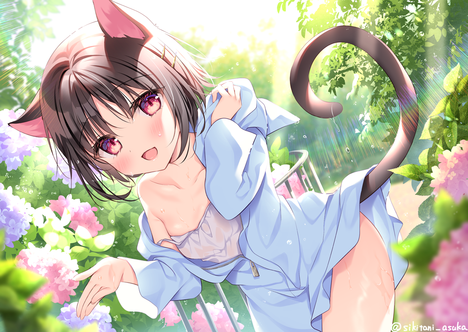 1girl :d animal_ears animal_hood black_hair blue_flower blue_jacket blush breasts camisole cat_ears cat_hood collarbone commentary_request day fake_animal_ears flower hood hood_down hooded_jacket hydrangea jacket looking_at_viewer original outdoors pink_flower red_eyes shikitani_asuka small_breasts smile solo twitter_username wet wet_clothes white_camisole