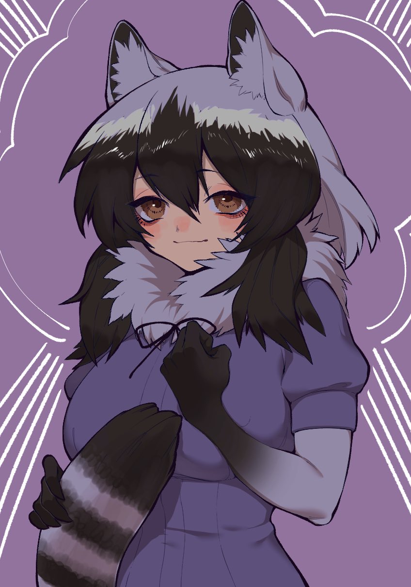 1girl animal_ears black_hair brown_eyes common_raccoon_(kemono_friends) elbow_gloves extra_ears gloves grey_hair highres kemono_friends long_hair looking_at_viewer multicolored_hair notora purple_background raccoon_ears raccoon_girl raccoon_tail scarf shirt simple_background solo tail two-tone_hair