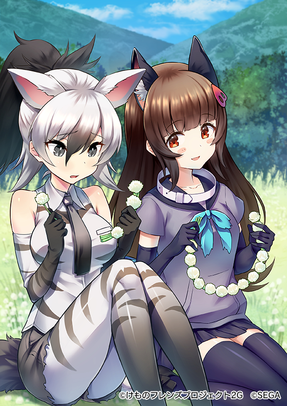 2girls aardwolf_(kemono_friends) aardwolf_ears aardwolf_girl aardwolf_print aardwolf_tail animal_ear_fluff animal_print aoi_momo bare_shoulders black_hair black_necktie black_shorts blush_stickers brown_hair collar collared_peccary_(kemono_friends) collared_shirt company_name copyright day elbow_gloves emanon123 extra_ears furrowed_brow gloves grass grey_eyes grey_hair hair_between_eyes hair_ornament high_ponytail holding kemono_friends kemono_friends_3 knees_up long_hair looking_at_another looking_at_object miniskirt multicolored_hair multiple_girls necktie official_art on_grass on_ground outdoors pantyhose pantyhose_under_shorts parted_lips print_gloves print_pantyhose print_shirt purple_shirt red_eyes second-party_source shirt short_shorts short_sleeves shorts sitting skirt sleeveless sleeveless_shirt smile striped thighhighs two-tone_hair vertical_stripes wariza wing_collar zettai_ryouiki