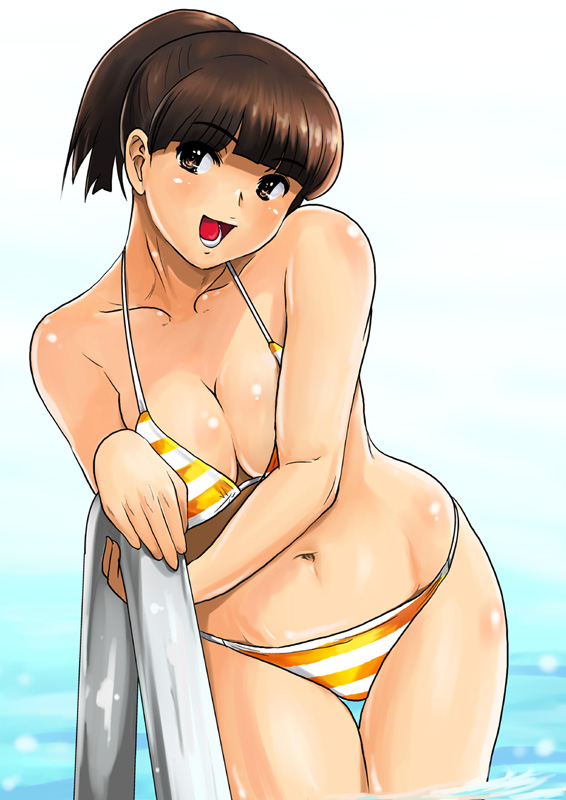 bikini breasts brown_eyes brown_hair cleavage dead_or_alive large_breasts lei_fang long_hair ponytail shiny shiny_skin shu-z solo striped striped_bikini swimsuit wide_hips