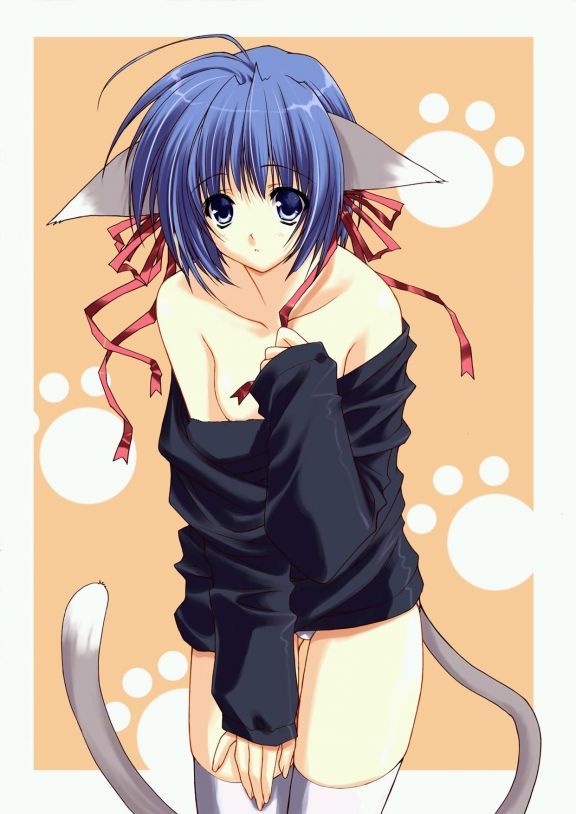 animal_ears blue_eyes breasts cat_ears cat_tail catgirl cleavage short_hair sweater tail thighhighs