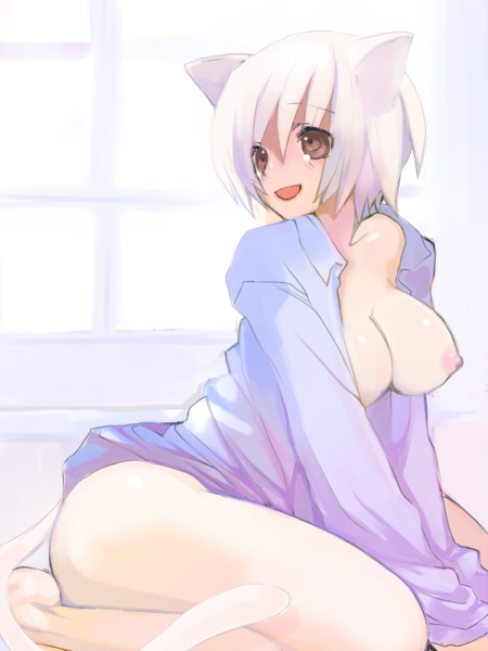 animal_ears breasts brown_eyes cat_ears cat_tail copyright_request large_breasts saibashi short_hair solo tail white_hair