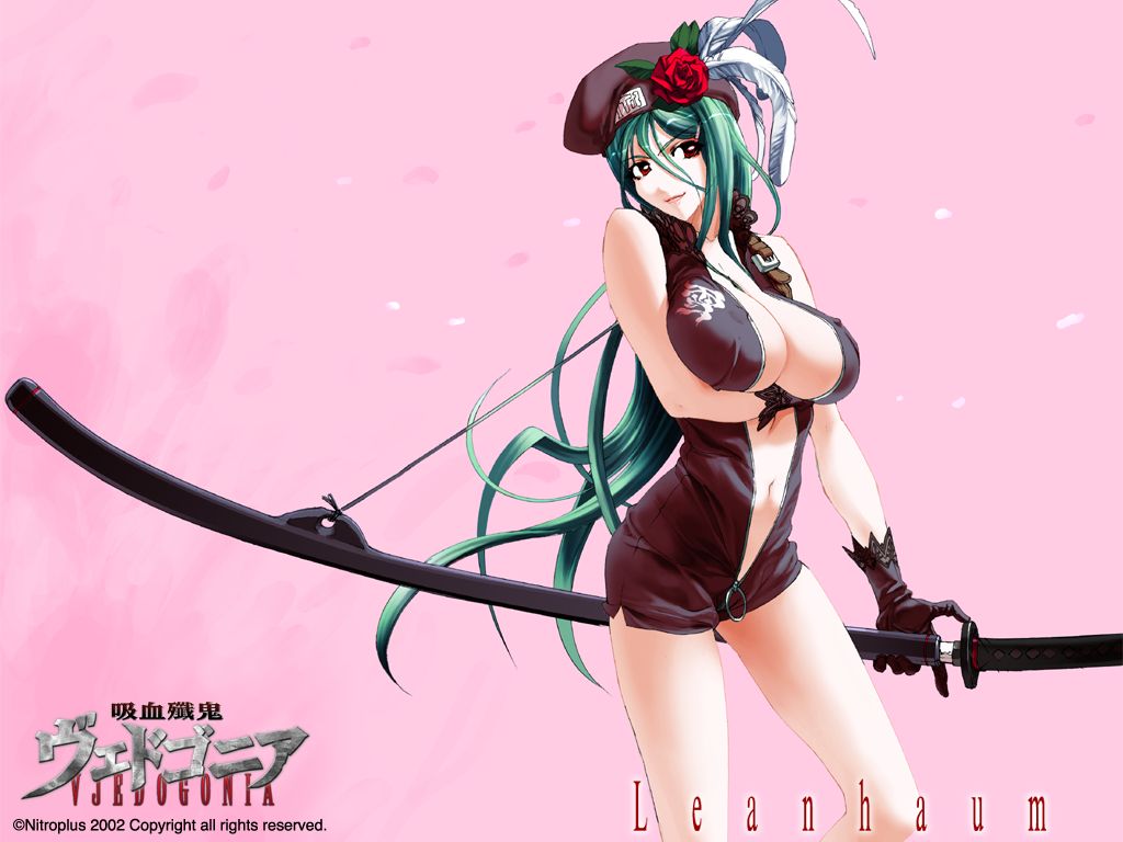 beret breasts center_opening chuuou_higashiguchi covered_nipples feathers flower full-length_zipper gloves green_hair hat huge_breasts lace leanhaum long_hair navel open_clothes red_eyes rose sideboob smile solo sword unzipped vampirdzhija_vjedogonia very_long_hair wallpaper weapon zipper