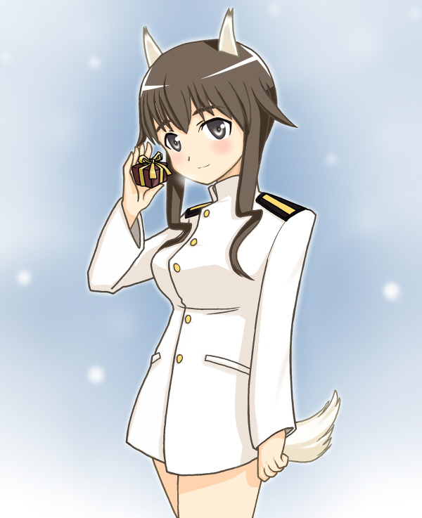 animal_ears bottomless gift holding holding_gift military military_uniform solo strike_witches tail takei_junko uniform vt world_witches_series
