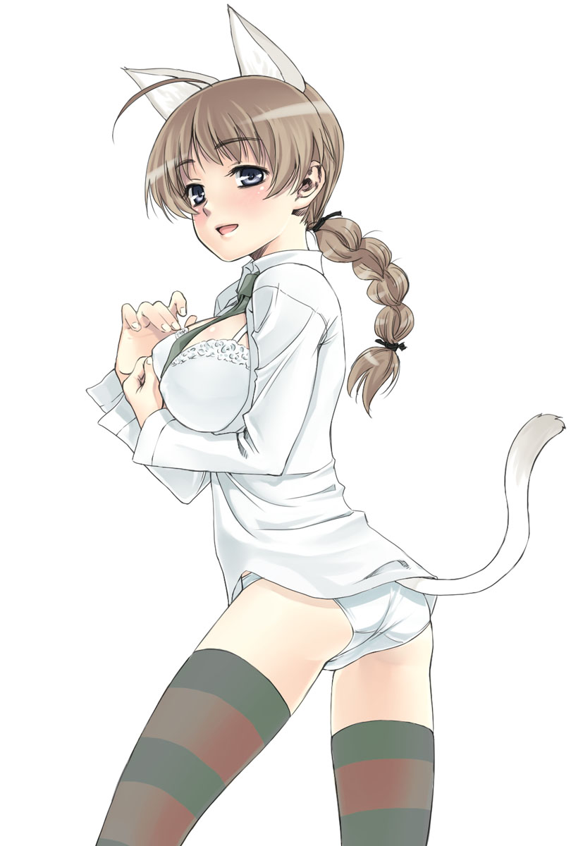 ahoge animal_ears bra braid breasts brown_hair cat_ears highres large_breasts lingerie long_hair lynette_bishop open_clothes open_shirt panties satou_atsuki shirt single_braid solo strike_witches striped striped_legwear tail thighhighs underwear world_witches_series