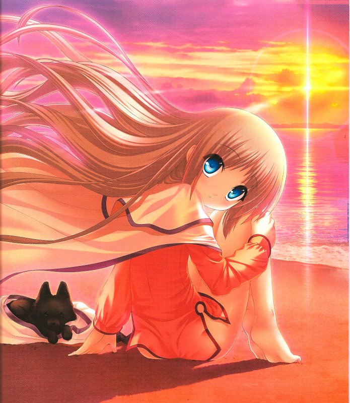 aqua_eyes barefoot beach blonde_hair cape cloud dog little_busters! long_hair na-ga noumi_kudryavka ocean outdoors sand sky solo sun very_long_hair wind