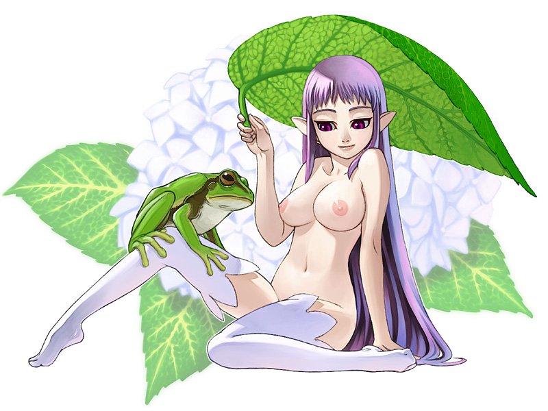 bad_id bad_pixiv_id breasts copyright_request flower frog hydrangea janome_gochou large_breasts leaf long_hair nude pointy_ears purple_eyes purple_hair sitting solo thighhighs
