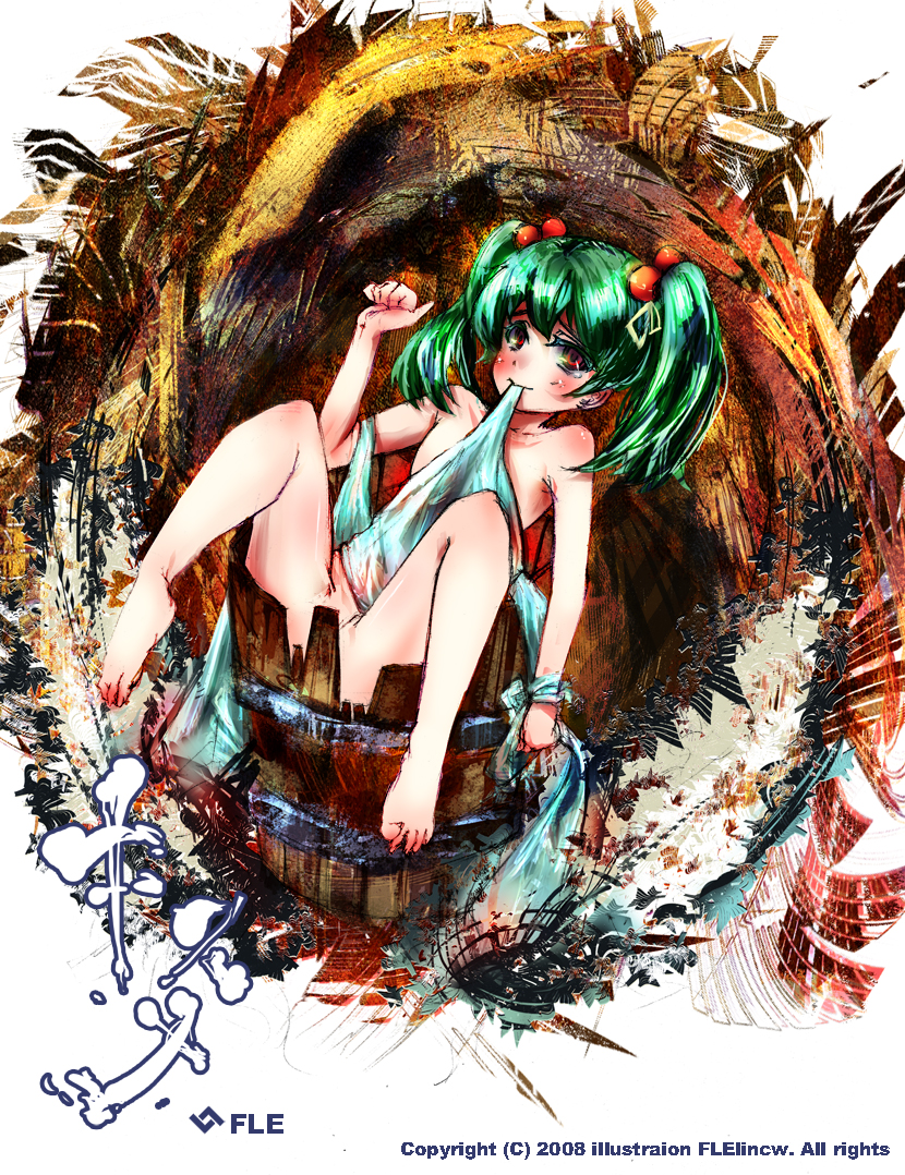 bad_id bad_pixiv_id bucket ein_(zfenx) green_hair in_bucket in_container kisume nude solo touhou twintails