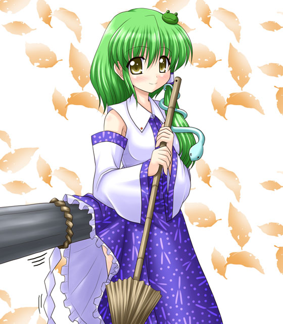 bococho broom frog green_hair kochiya_sanae onbashira skirt skirt_lift snake solo touhou yellow_eyes