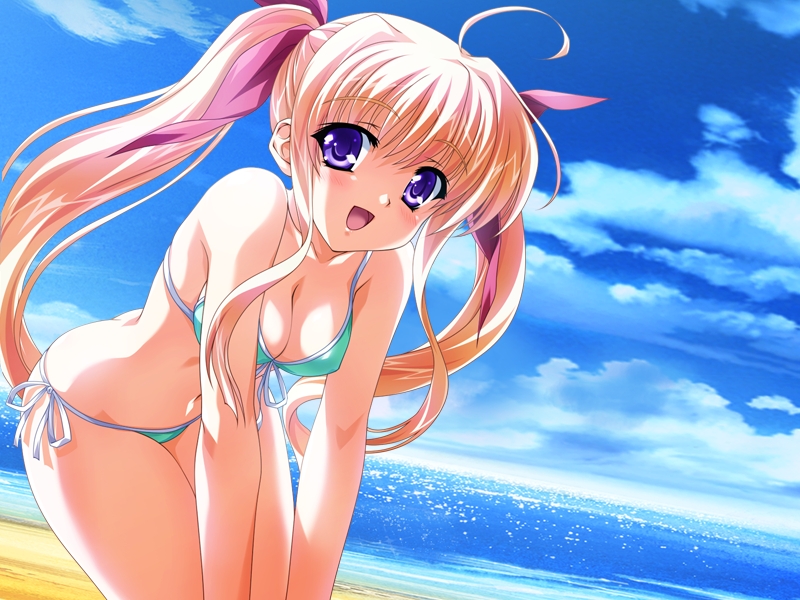 1girl beach game_cg sky solo swimsuit twintails