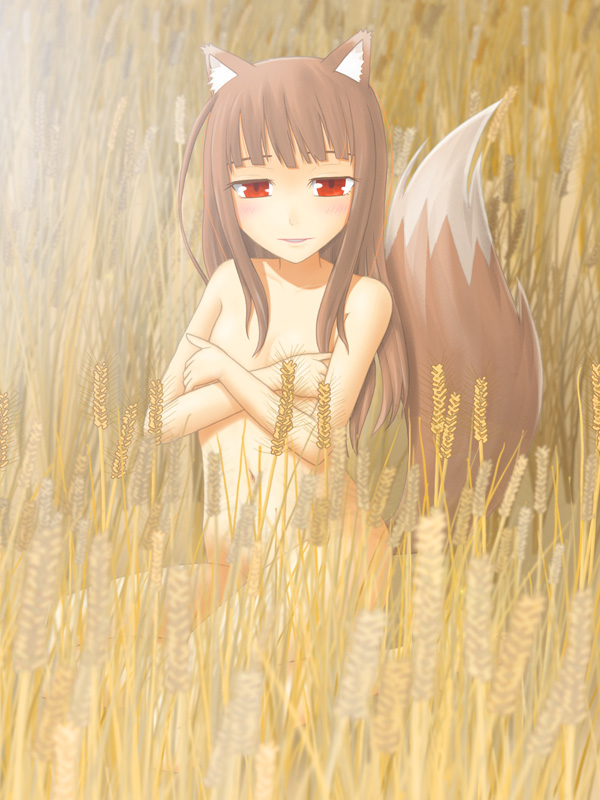 animal_ears covering holo long_hair nude oka_takeshi red_eyes solo spice_and_wolf tail wheat wolf_ears