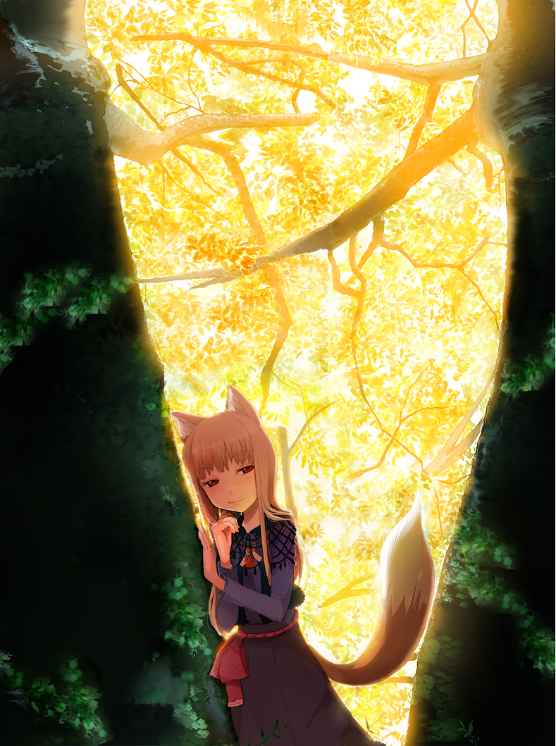 animal_ears brown_hair forest holo long_hair m-hit nature red_eyes solo spice_and_wolf tail wolf_ears