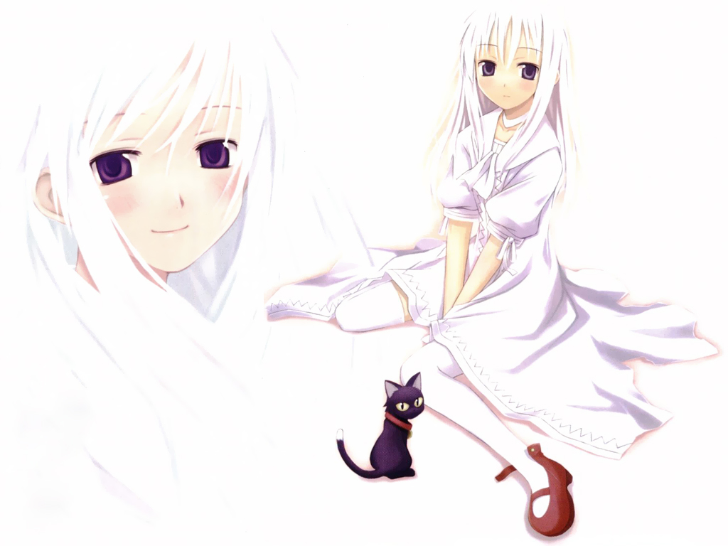 black_cat blending blush cat daniel_(shinigami_no_ballad) dress long_hair momo_(shinigami_no_ballad) nanakusa shinigami_no_ballad smile thighhighs wallpaper white_hair