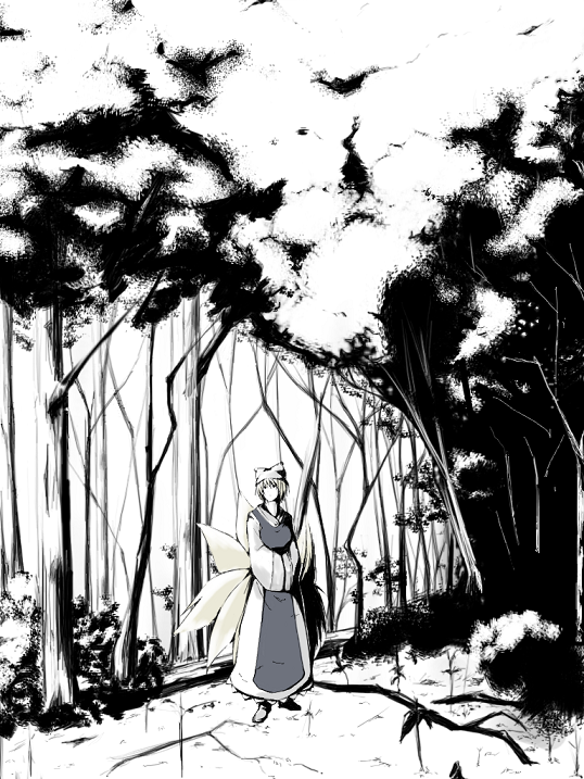 forest fox_tail greyscale hands_in_opposite_sleeves hat kajiki long_sleeves looking_at_viewer monochrome multiple_tails nature pillow_hat plant shoes short_hair solo standing tabard tail touhou wide_sleeves yakumo_ran