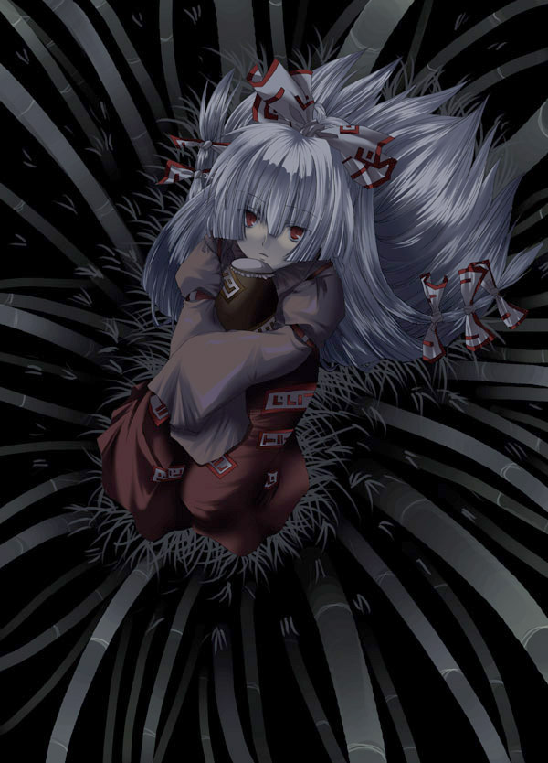 bamboo bamboo_forest dark forest from_above fujiwara_no_mokou kokono_coco long_hair long_sleeves looking_at_viewer looking_up nature ofuda pale_skin pants red_eyes silver_hair solo suspenders touhou very_long_hair