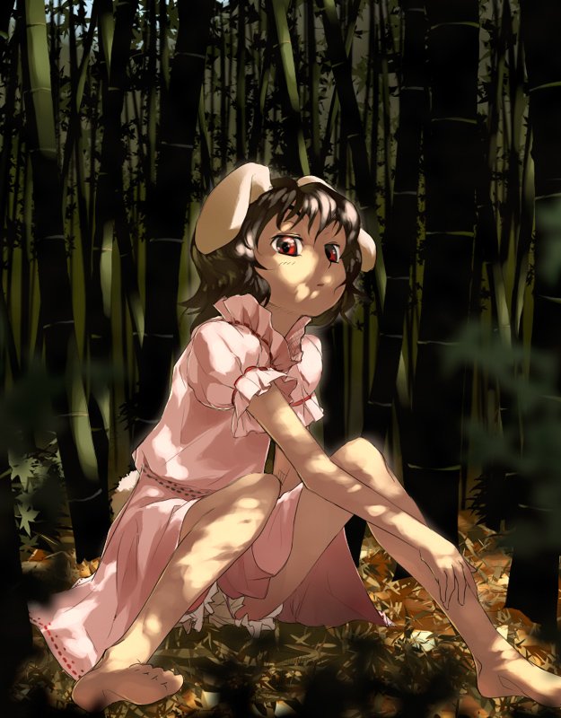 animal_ears bamboo bamboo_forest barefoot black_hair bloomers bunny_ears dappled_sunlight dress duplicate forest inaba_tewi nature red_eyes short_hair sitting solo sun-3 sunlight touhou underwear white_bloomers