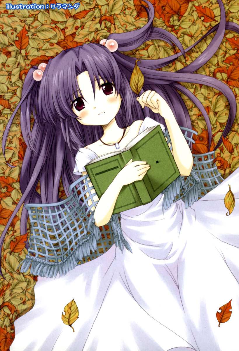 book clannad dress hair_bobbles hair_ornament highres ichinose_kotomi leaf patoto solo two_side_up