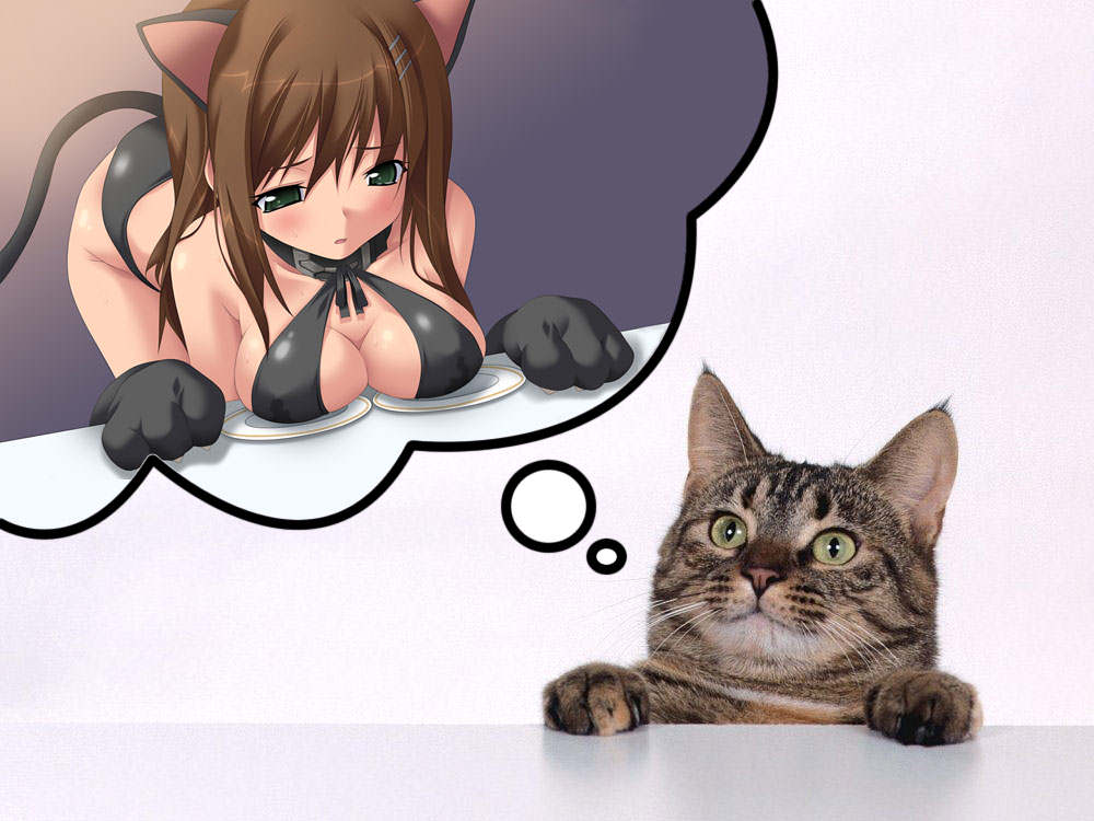animal_ears blush breast_rest breasts brown_hair cat cat_ears cat_tail catgirl cleavage comedy criss_cross_top green_eyes kitty large_breasts plate tail