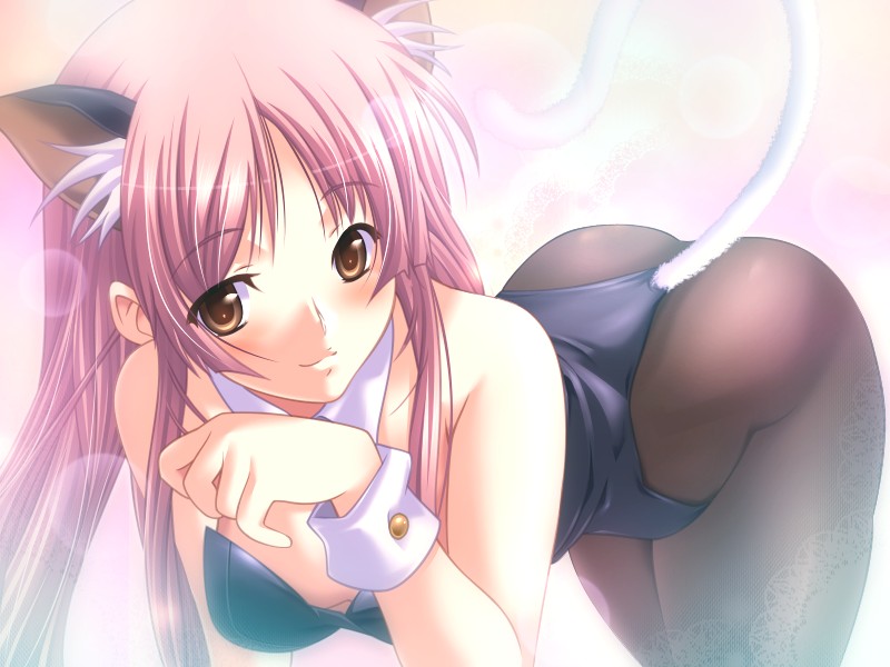 1girl animal_ears bent_over blush bra breasts brown_eyes bunny_girl cat_ears cat_tail dungeon_crusaderz erika_rouleburg game_cg kittysuit lingerie long_hair m&amp;m pantyhose pink_hair purple_hair solo tail thighhighs underwear