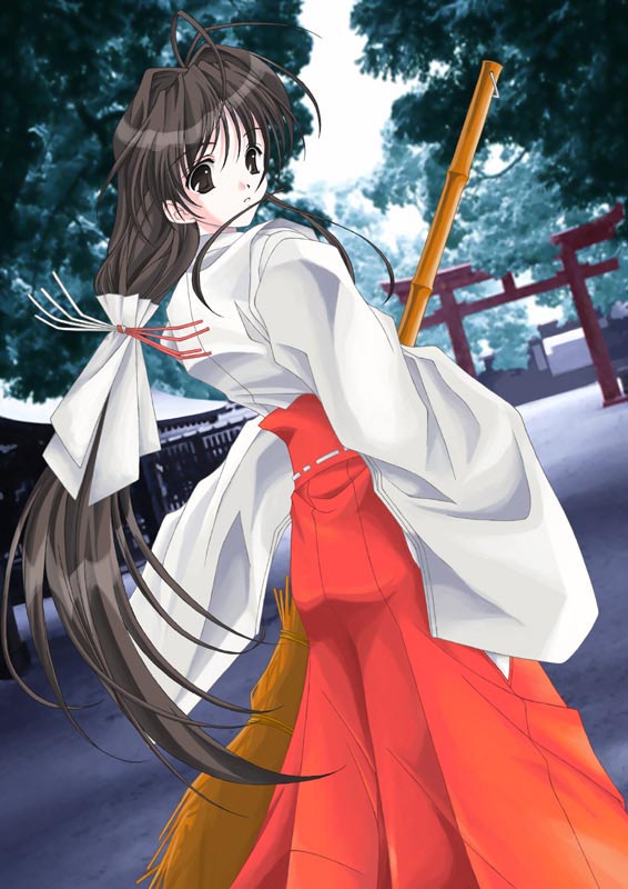 artist_request bamboo_broom broom brown_hair copyright_request hakama japanese_clothes long_hair long_sleeves looking_back miko mizuhiki red_hakama solo torii very_long_hair
