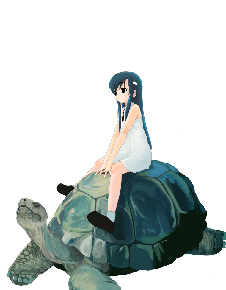 bare_shoulders black_hair closed_mouth dress expressionless hair_ornament hairclip houmitsu long_hair necktie original riding shoes short_dress sidelocks simple_background size_difference sleeveless sleeveless_dress socks solo turtle v_arms very_long_hair