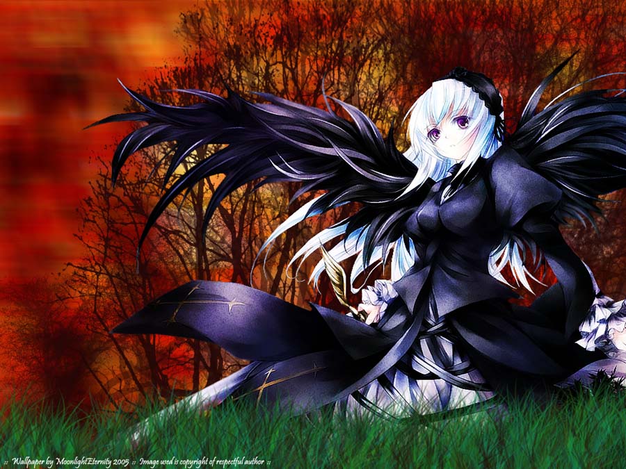 gothic long_hair long_sleeves purple_eyes rozen_maiden solo suigintou sword wallpaper weapon white_hair wings