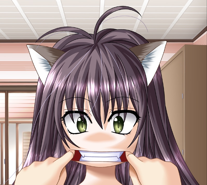 animal_ears artist_request cat_ears copyright_request fangs fingersmile solo_focus teeth