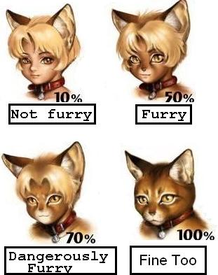 a_cat_is_fine_too androgynous animal_ears cat cat_ears chart collar diagram furry lowres meme original parody po-ju third-party_edit