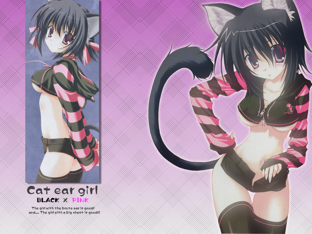 animal_ears black_hair breasts cat_ears cat_tail copyright_request long_sleeves medium_breasts nanao_naru open_fly red_eyes shorts striped tail thighhighs underboob unzipped