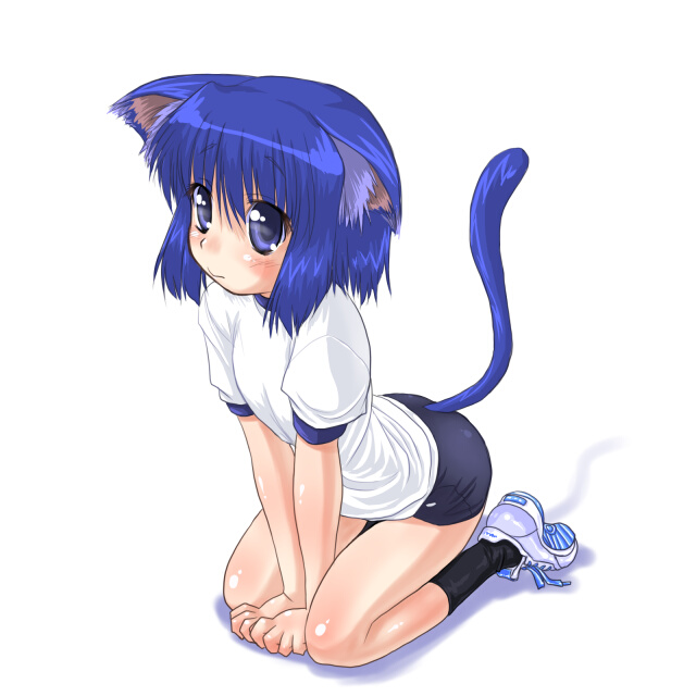 animal_ears blue_hair buruma cat_ears dd_(ijigendd) gym_uniform pani_poni_dash! seiza serizawa_akane short_hair sitting solo tail