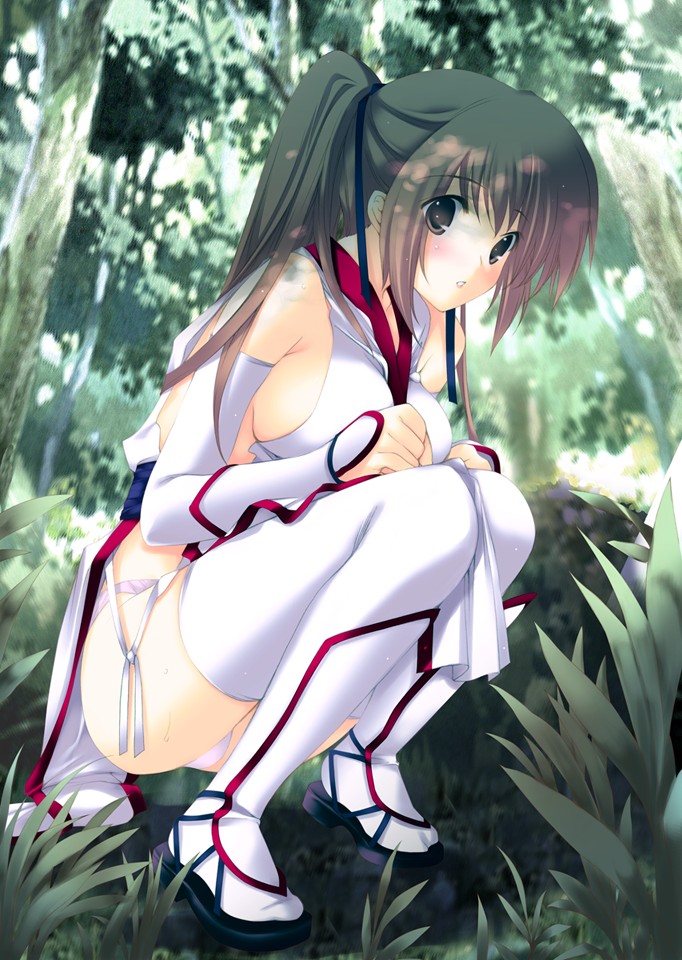 bare_shoulders blush breasts brown_eyes brown_hair day dead_or_alive duplicate elbow_gloves expressionless forest geta gloves grass hair_ribbon iizuki_tasuku kasumi_(doa) large_breasts long_hair looking_at_viewer nature outdoors pelvic_curtain ponytail ribbon sash sideboob solo squatting thighhighs white_gloves white_legwear
