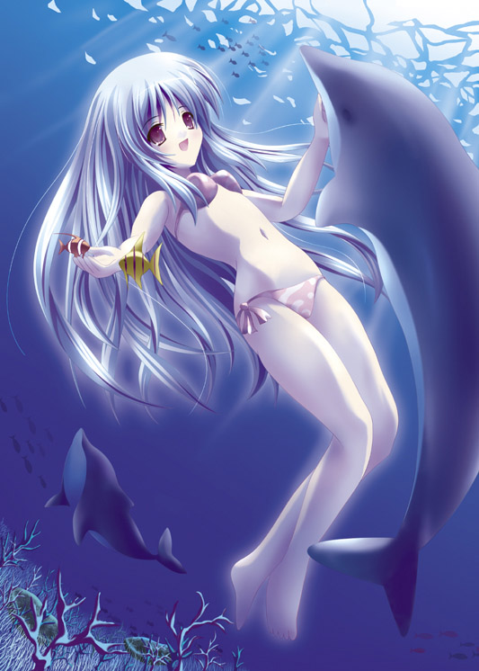 animal bikini copyright_request dolphin fish solo swimsuit underwater yamamoto_nori