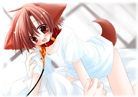 all_fours animal_ears brown_hair collar dog_ears dog_tail hinata_(pure_pure) leash open_mouth pure_pure red_eyes sakurazawa_izumi solo tail