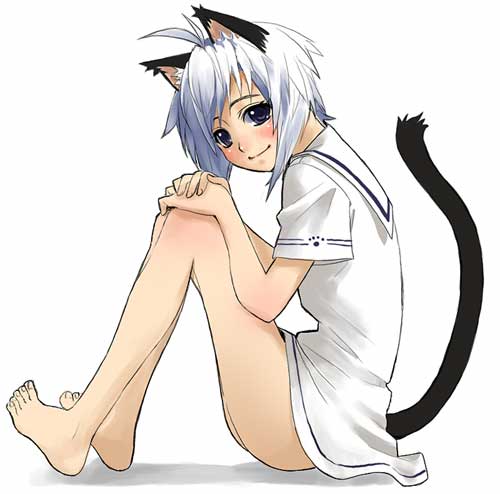 ahoge animal_ears barefoot blue_eyes cat_ears cat_tail dress from_side hands_on_own_knees jpeg_artifacts looking_at_viewer lowres no_panties original sailor_dress short_hair sitting smile solo tail takano_saki white_hair
