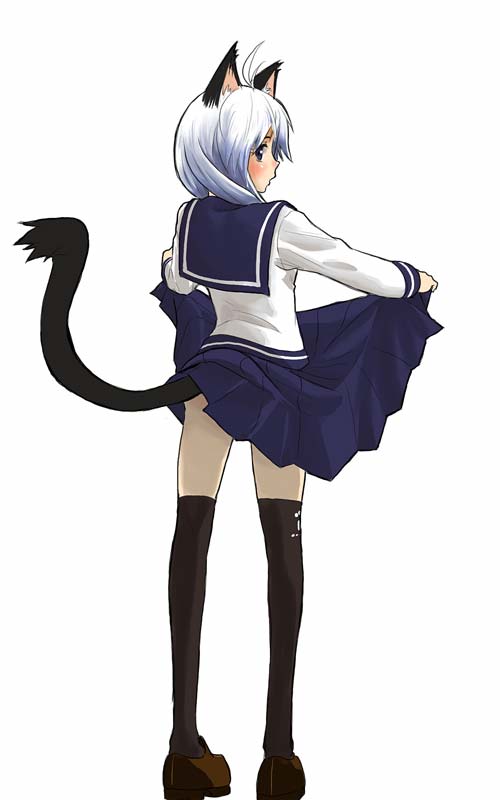 animal_ears cat_ears long_sleeves original school_uniform skirt skirt_lift solo tail takano_saki thighhighs