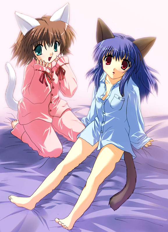animal_ears artist_request blue_hair bottomless brown_hair cat_ears copyright_request green_eyes long_sleeves multiple_girls pajamas red_eyes tail
