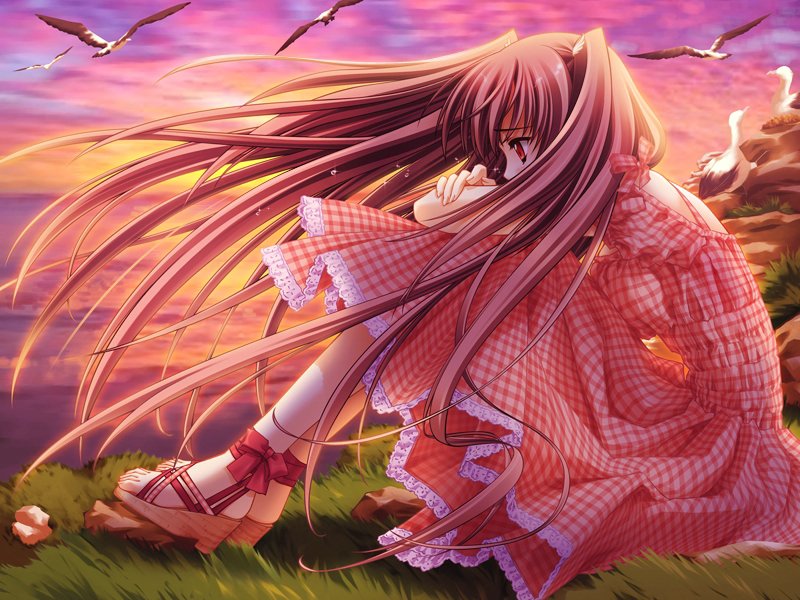 airi_(quilt) bird carnelian feet game_cg quilt_(game) sandals seagull solo sunset twintails two_side_up