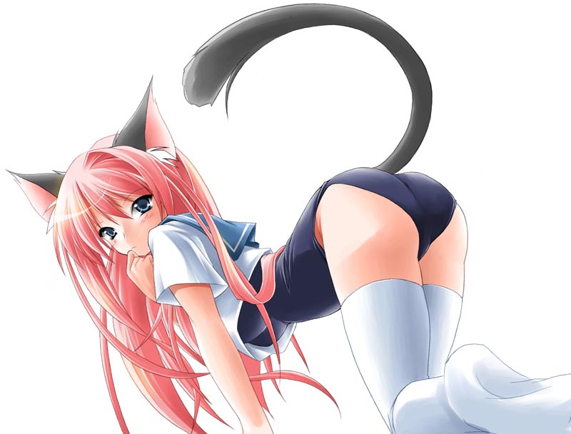 all_fours animal_ears blue_eyes bottomless cat_ears cat_tail copyright_request hand_to_own_mouth kamiya_tomoe long_hair looking_back no_pants one-piece_swimsuit pink_hair school_swimsuit school_uniform simple_background solo swimsuit swimsuit_under_clothes tail thighhighs