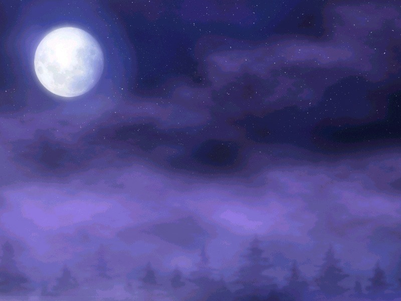 izumo landscape moon night no_humans pine_tree scenery star tree yamamoto_kazue