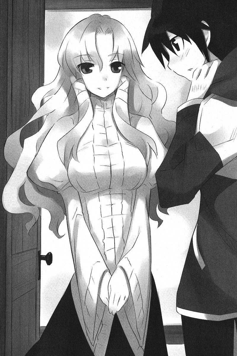 1girl artist_request cattleya_yvette_la_baume_le_blanc_de_la_fontaine greyscale highres hiraga_saito long_sleeves monochrome official_art zero_no_tsukaima